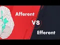 Afferent vs Efferent - Cranial Nerve Modalities