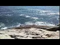Popham Beach Maine