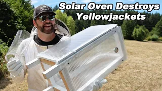 Solar Oven Yellowjacket Nest Removal (140°F Pesticide-Free Trap). Feeding Chicken Yellowjackets.