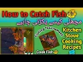 How to Catch Fish and Cook Kitchen Stove Recipe Fishing Tournament kamirajpoot47
