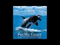 Download Lagu Pacific Grace: Spirit of the Killer Whale - Dan Gibson \u0026 Jim Brandmeier