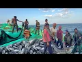 Download Lagu Wow 😲 First Day Great Day 🤩 Deep Sea Net Fishing 💢❗Lot of Variety Fishes
