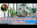 Download Lagu Penting! Tanam 30 Tanaman ini Agar Sehat, Manfaat Tanaman di rumah, Pembersih Udara Agar Tubuh Sehat