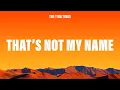 The Ting Tings - That s Not My Name