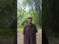 Download Lagu pantun sunda..eps.1