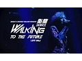 Download Lagu 衛蘭Janice Walking To The Future Live 2014 精彩花絮