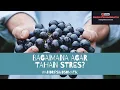Download Lagu (Besok Sudah Senin Lagi) Jangan Sampai Cemas Menghambat Aktifitas Ya Guys