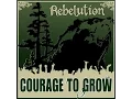 Download Lagu Rebelution - Nightcrawler