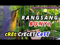 Download Lagu Cu!it creCet Ucceekk ucceekkk PANCINGAN SOGON AGAR MUDAH NYAUT #pancingansogon #pancingansogokontong