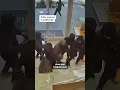 Zotte overval in Californië
