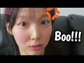 Download Lagu when aunt nayeon became a full-time *dog mom* to boo and dobby