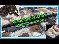 GREATER PHILADELPHIA REPTILE EXPO Feb 2021 NEW PICKUPS Reptiles Ball Python Breeding