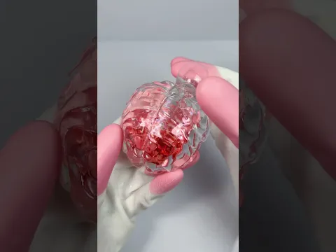 Love Brain Squishy Toy PUYA ASMR 러브브레인 주물럭 장난감