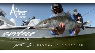 SURFACE TENSION Biscayne Bonefish