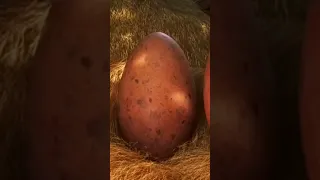 الفيلم الرائع الديناصور الصغير الجزء الاول مترجم بالجوده العاليه 