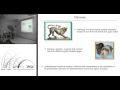 Download Lagu Chimeras in systems with global interactions
