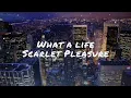 Scarlet Pleasure - What a life (lyrics)