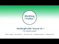 MultilingProfiler Tutorial 10 The statistics panel