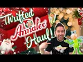 Finding the BEST Present Ever A Thrift Store Full of Holiday AnnaLee Dolls