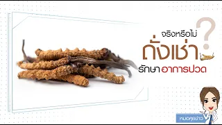 กาแฟช่วยลดอาการปวดข้อหรือปวดหลังได้จริงหรือไม่