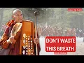 Lagu Walk for Peace | Bhikkhu Pannakara’s 2026 Message: Don’t Waste This Breath