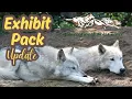 Pack alliances surprise visitors Exhibit Pack Update - 14 August 2026