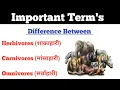 Herbivores Carnivores Omnivores By Dadhich Sir