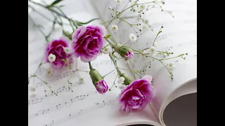 كارم محمود   مشغول عليك مشغول دندنها