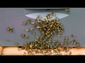 Raw honey is all the buzz at Zach Zoe Sweet Bee Farm in Hunterdon County