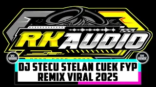 dj stecu stelan cuek fyp dj geprek x rk audio remix viral 2025