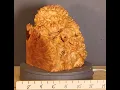 D1897 5A Block Burl Maple With Live Edge Lumber