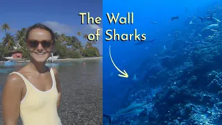 South Pacific Sailing: Diving with Sharks in the Tuamotus