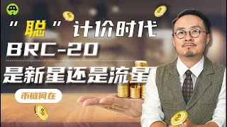 什么是BRC 20 千倍收益能持续吗 20230617 