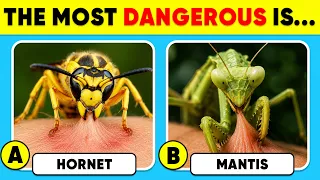 How Good Is Your Knowledge of ANIMALS? 🦂🐍🥶 General Knowledge Trivia Quiz