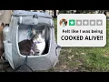 Avoid THIS Cat Travel Bag Try These Instead