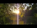 Summerscapes (Hammock - Chorus Of Trees)