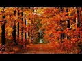 Koop -  Waltz For Koop (Bacon & Quarmby Remix)