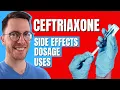 Ceftriaxone Rocephin - Use Side Effects Dosage