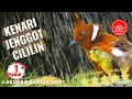 Download Lagu kenari jenggot cililin gacor - masteran murai batu terbaik