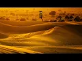 Caiiro - Mapoch War