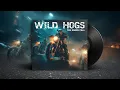 Download Lagu 🎸 WILD HOGS – The Roads Call | 70s Blues Rock Revival (Full Album)
