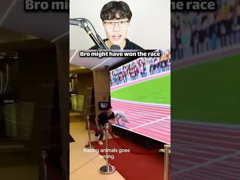 RACING ANIMALS GONE WRONG 😭