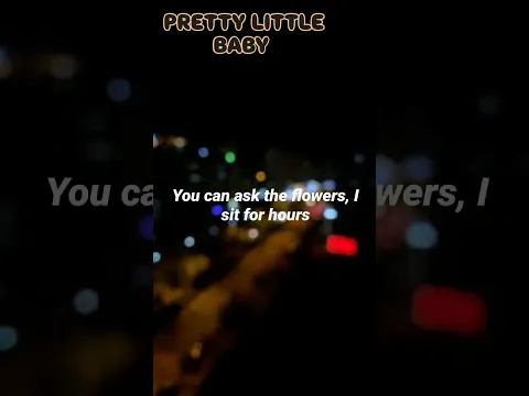 Pretty little baby #lyrics #fyp #trends #hottrend #viralnow #prettylittlebaby #familysong