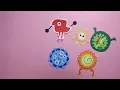 POLO & PAN - Zoom Zoom (official video)