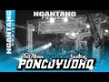 Lagu FULL ALBUM LAGU PENCAK SILAT BANTENG PONCOYUDHO || HS AUDIO