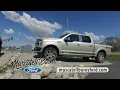 Muscatell Burns Ford
