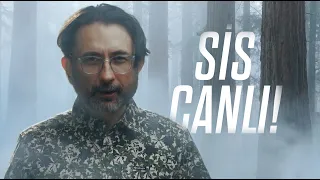 Sisin İçinde Bir Şey Yaşıyor!