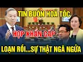 Download Lagu Tin tức Việt Nam mới nhất ngày 20/08/2025 I Tin Nóng Chính Trị Việt Nam và Thế Giới #tuvisomenh