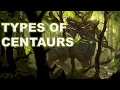 The Power And Magic Of Centaurs Exploring Mythological Hybrids