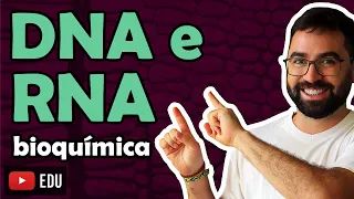 DNA e RNA (Ácidos Nucleicos) - LEIA A DESCRIÇÃO
